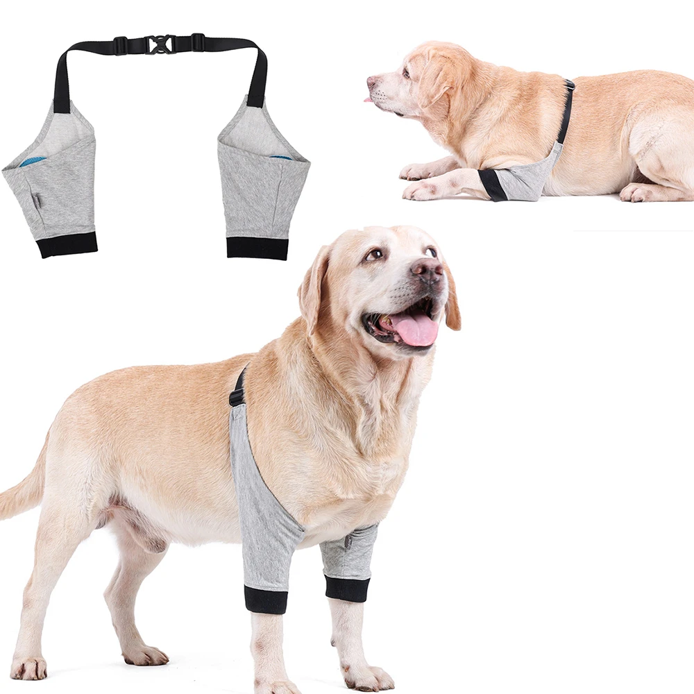 vooroordeel campagne Il Hond Knie Brace Knie Startonderbreker Ondersteuning Honden Met Gescheurde  Knie Cap Honden Joint Bandage Wrap Doggy Medische Benodigdheden Honden  Accessoires| | - AliExpress
