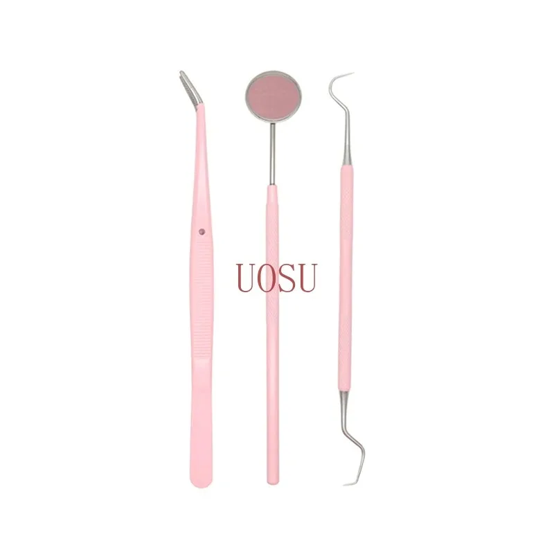 Pink Stainless Steel Dental Care Kit