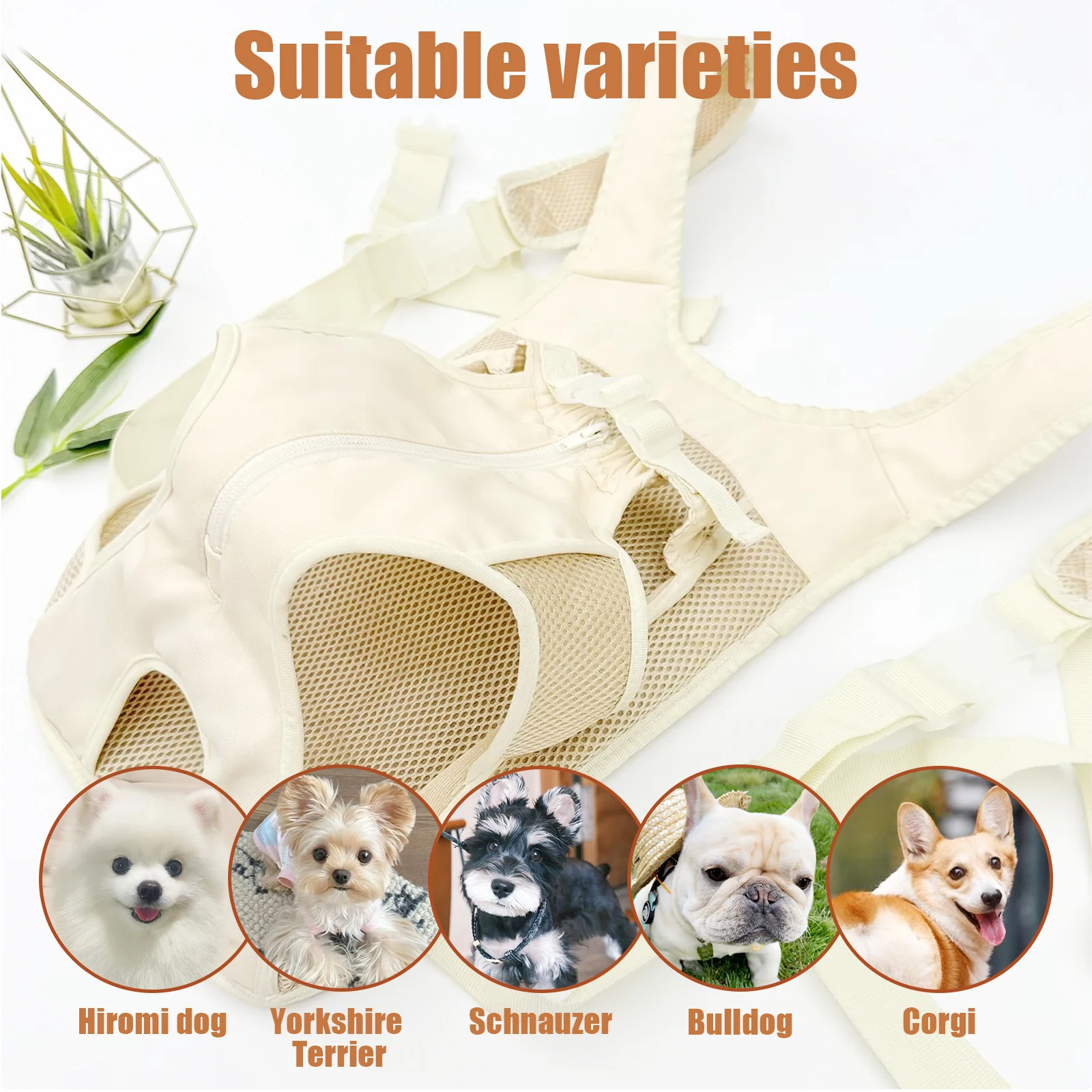New Product Carry A Bag When Walking The Dog Comfortable Cat Chest Bag Front-Hugging Backpack Outdoor Cat Cage Pet Portable Back