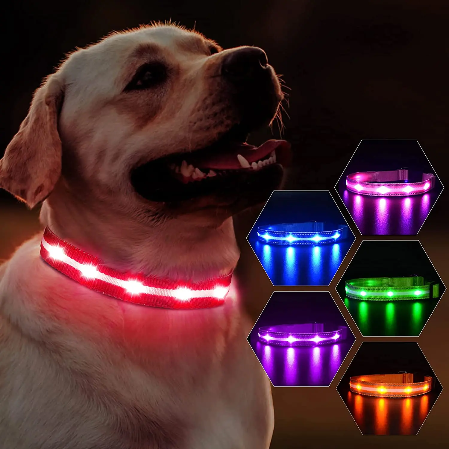 LED Dog Collar Light Up Night Safety Collar USB Rechargeable Waterproof for One