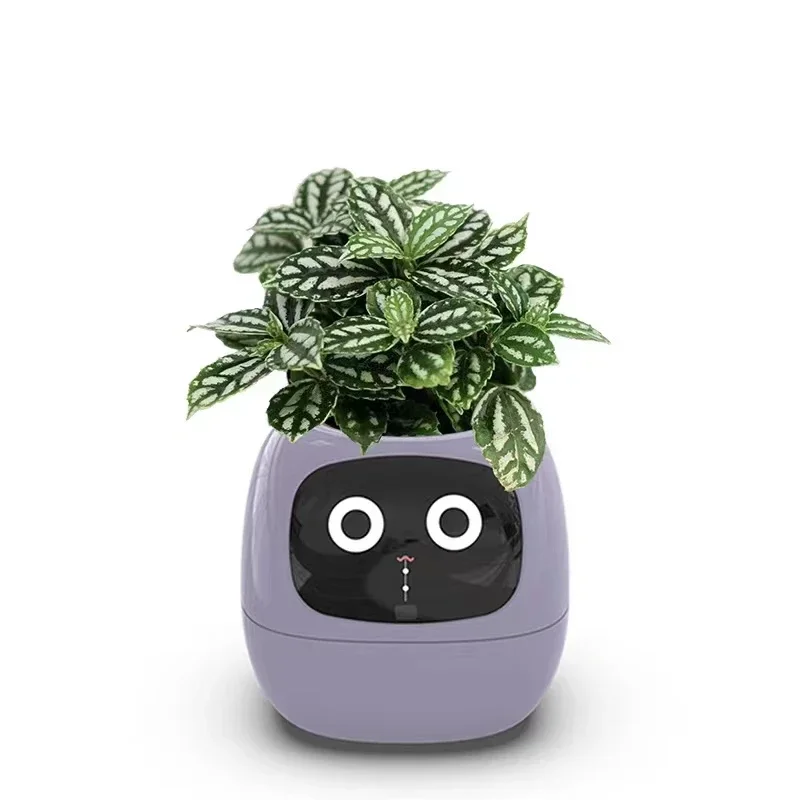 New Smart And Cute Pet Pet Pot Ivy Table Top Green Plants Let Your Plants Express Emotions