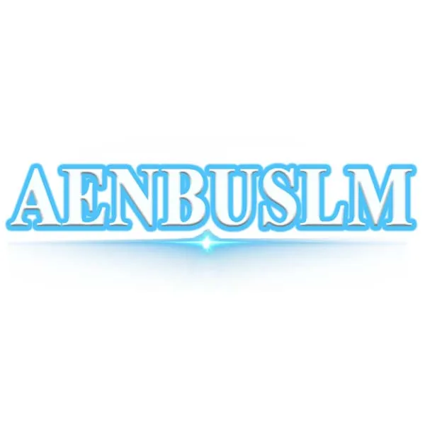 AENBUSLM Store