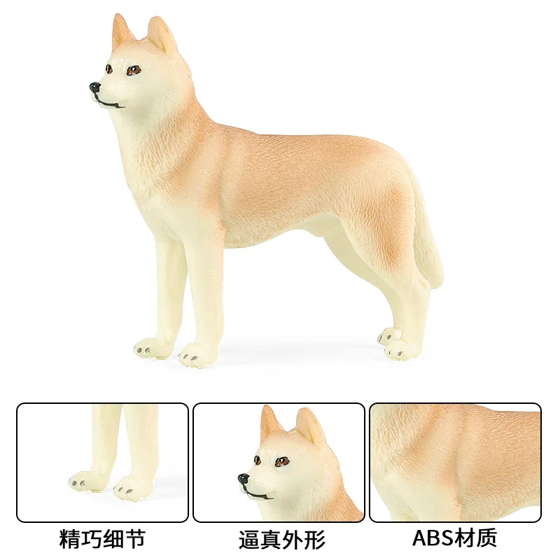 https://ae01.alicdn.com/kf/S8e4be5b1511c4b4db13b81036d96da8bO/Simulation-Dog-Animal-Model-Husky-Pet-Dog-Toy-Ornaments.jpg