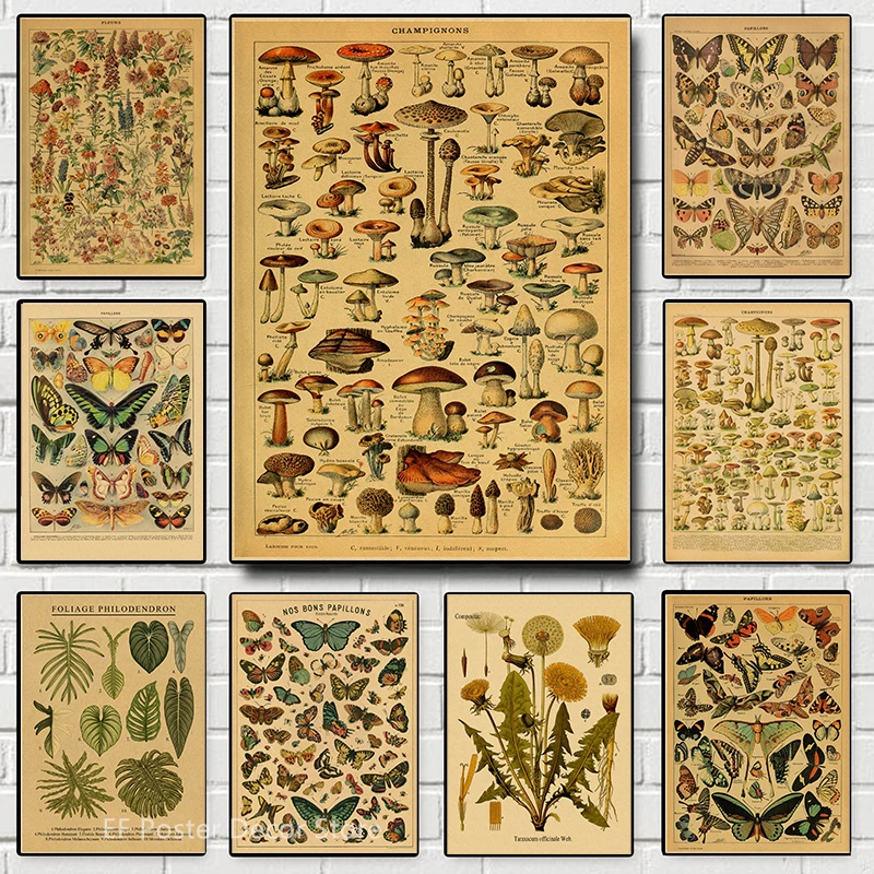 Wall Art Print Botanical Art Prints Mushroom Retro Poster Animal/Flower/Plant/Leaf/Butterfly Study Painting Vintage Study Room Home Wall Decor