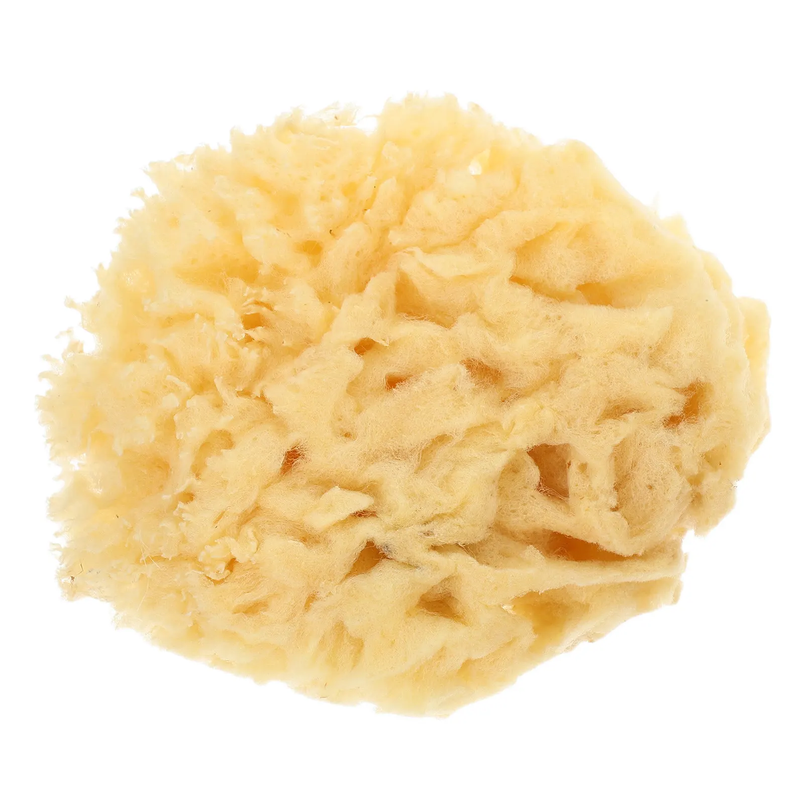 천연 바다 스펀지 2.0-2.5인치 부드럽고 잡기 쉬운 수채화 도구 고흡수 다기능 페인팅 스펀지 DIY 아트용