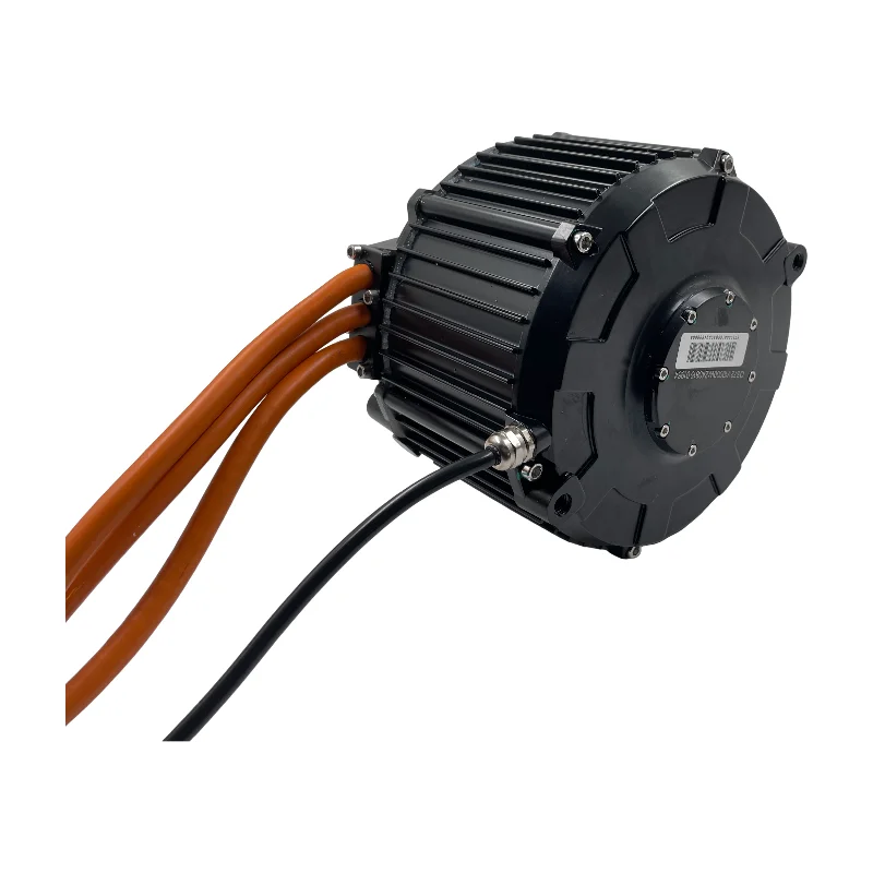 QSMOTOR 165 50H 10KW Mid-drive PMSM Motor For Electric Moped Dirt