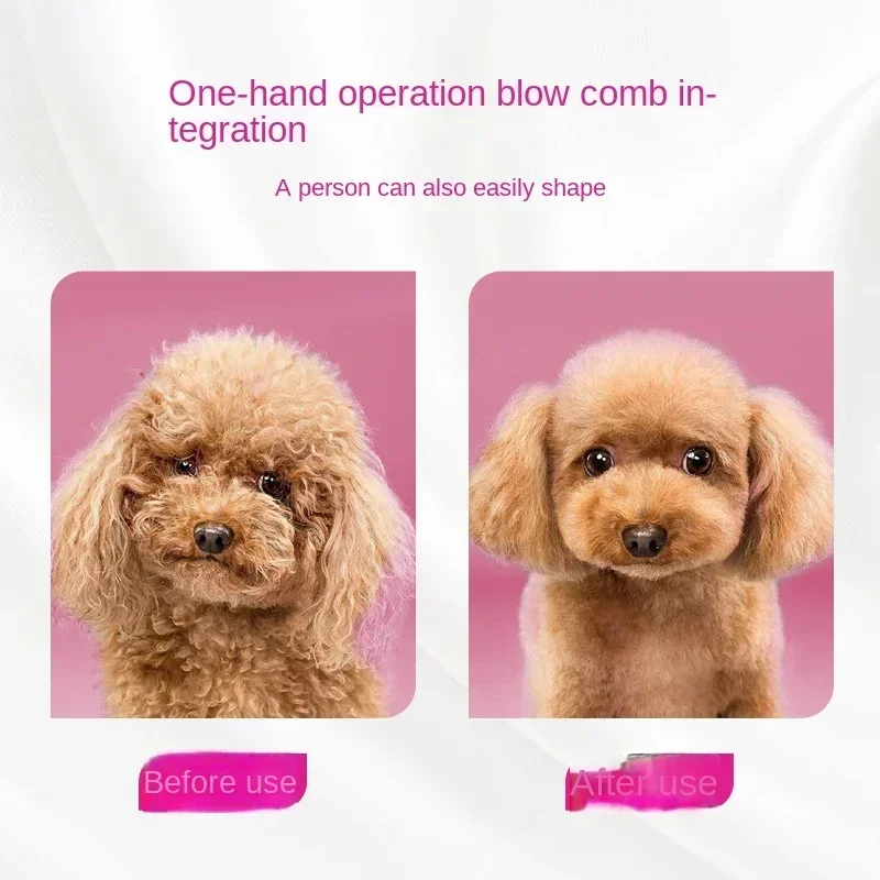 Hair dryer Pet hair dryer 4 In1 Pet Dog Dryer Quiet Dog Hair Dryers and Comb Brush Grooming Third-Gear Constant Temperature Not Hurt Hair Water Blower