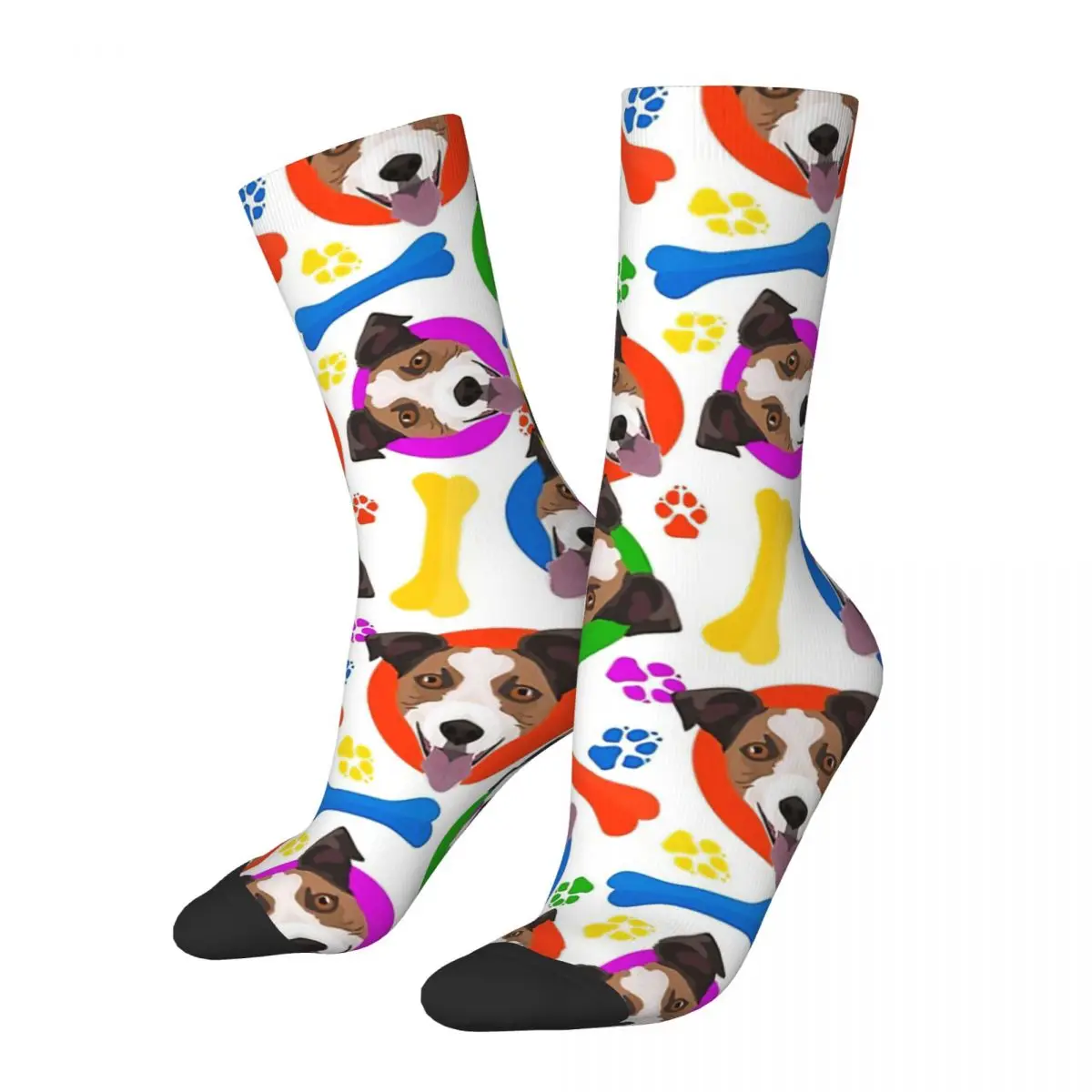 Рисунок 2 - Носки для взрослых с рисунком собаки ротвейлера