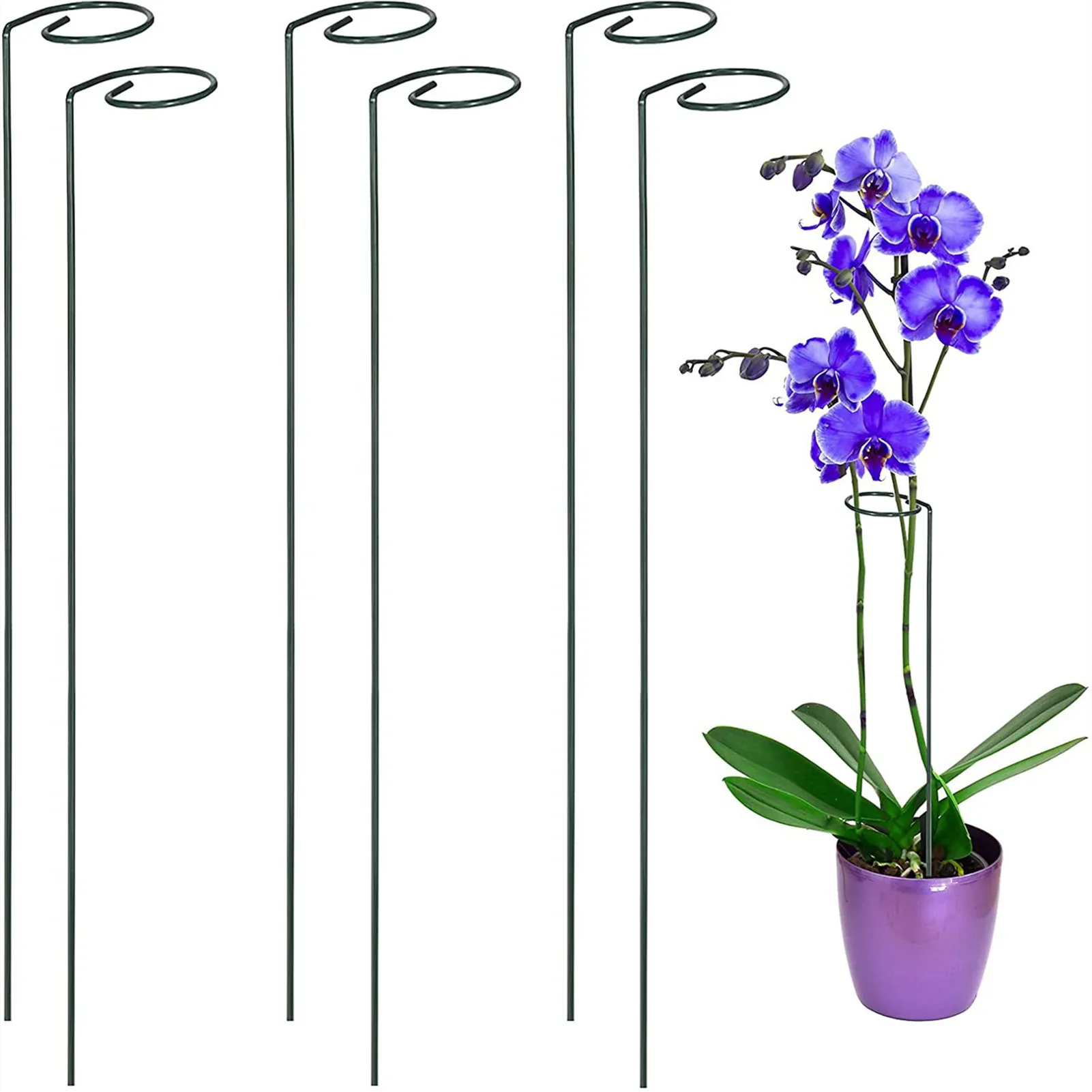 Supporti Per Piante In Acciaio Con Rivestimento Verde - 8 Paletti Da 40 Cm E 20 Clip, Per Pomodori, Rose E Gigli