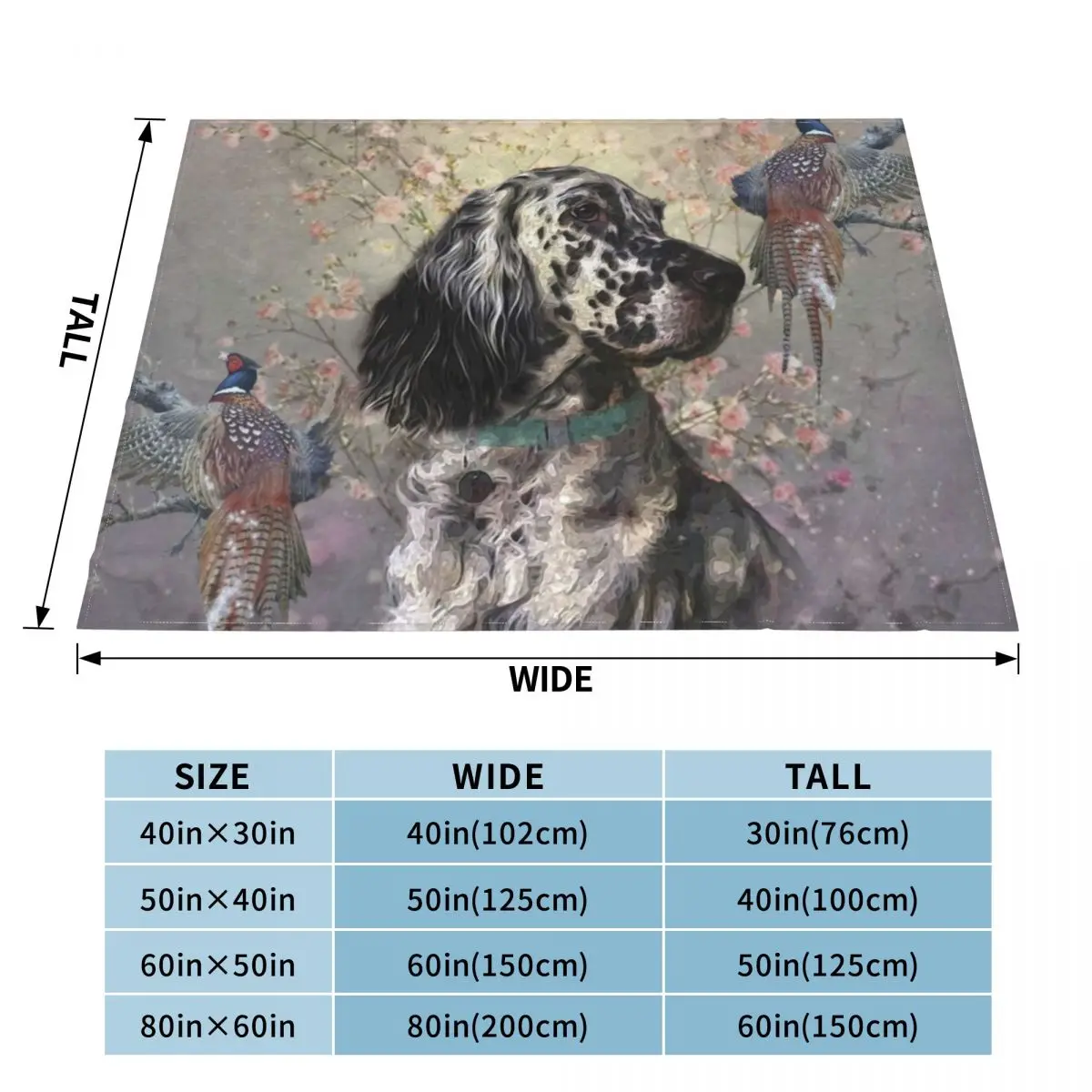 �� ���� ���� ����, ��Ʈ ������ ���, ���� ������ ���, ���� �ε巯�� ���