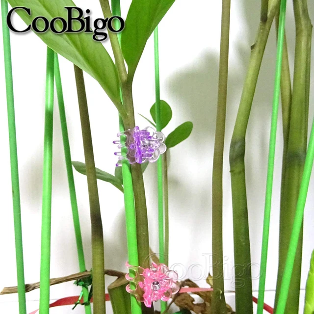 60 db Orchidea Klipek Növényi Tartó Klip Szőlő Szár Javítás Bilincs Üvegházhatású Zöldségvirágok Gyümölcskert Műanyag Színes - Image 5