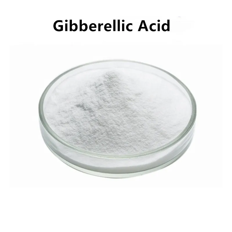 Gibberellic Acid//Gibberellin /GA3 / Gibberellic Acid GA3 90% Plant Growth Hormone Free Shipping Available