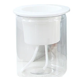Transparent Spherical Succulent and Flower Pot (Soil Straight)