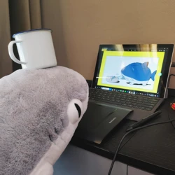 50cm SHARKITTY Plush Doll Lovely Sharkitty Pillow Soft Sleeping Cushion Xmas Birthday Christmas Gift Anime Toy