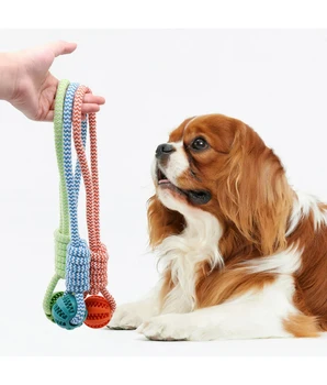Dog Chew & Dental Ball Toy 2