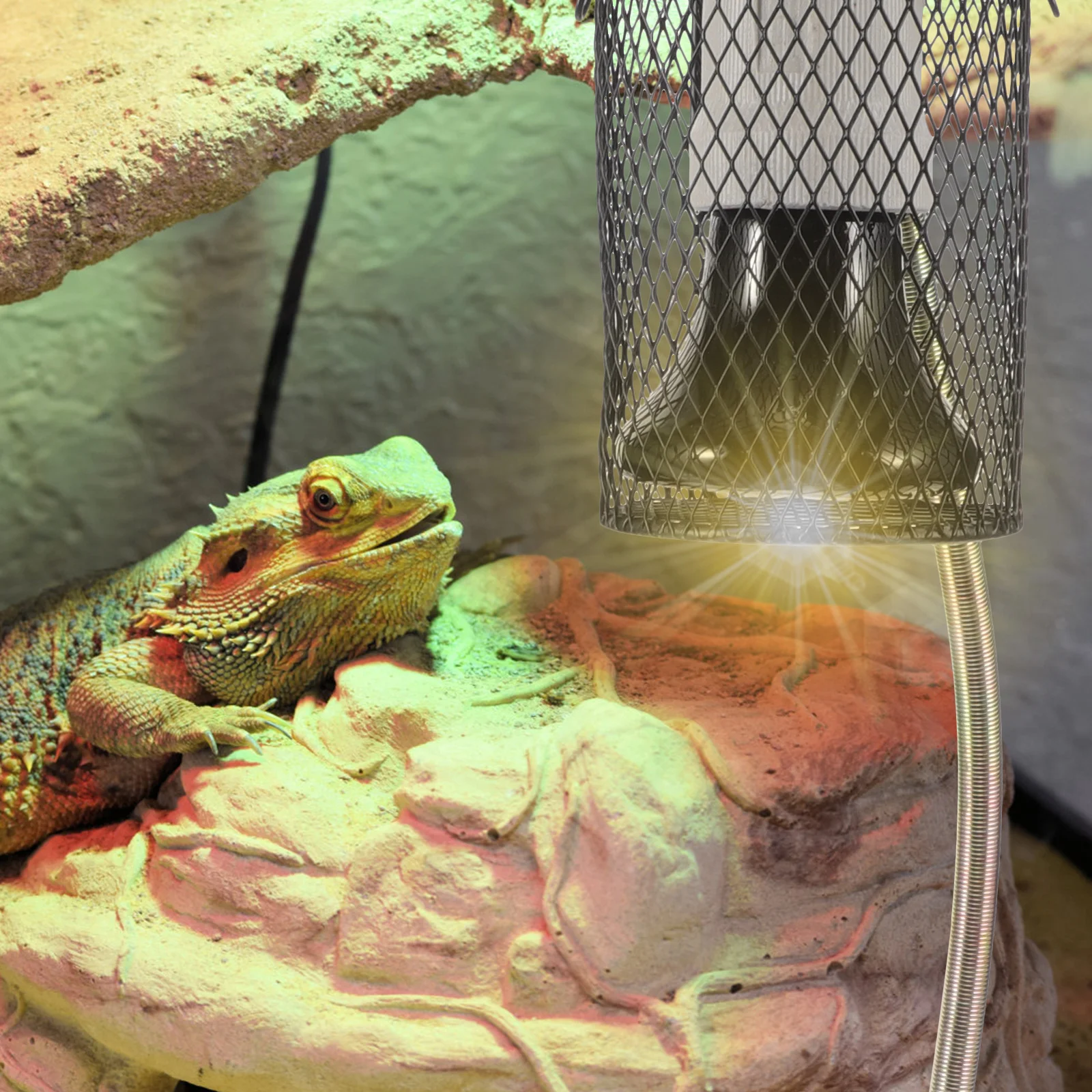 Reptile Heating Lamp Ceramic Heat Lamp Reptile Heat Lamp Bulb Bird Bulb Lizard Heater With Shade (EU Plug) Pet Ceramic Heating Cover Set