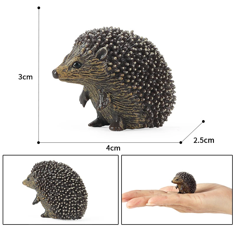 Hedgehog figure 3