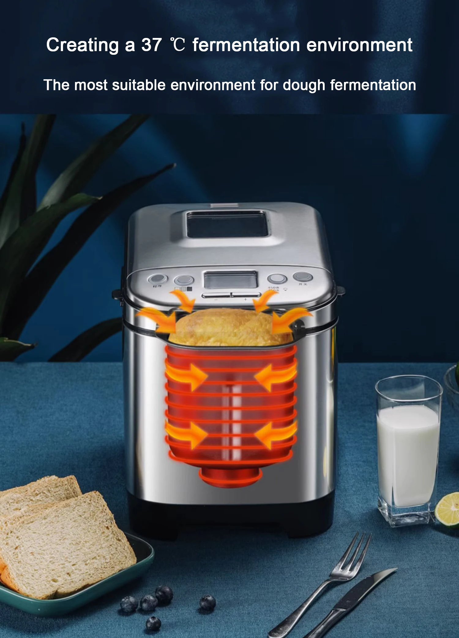 DMWD Household Bread Maker Multi-function Automatic Dough Stirrer Fermentation Smart Electric Bread Baking Machine Yogurt Maker 4