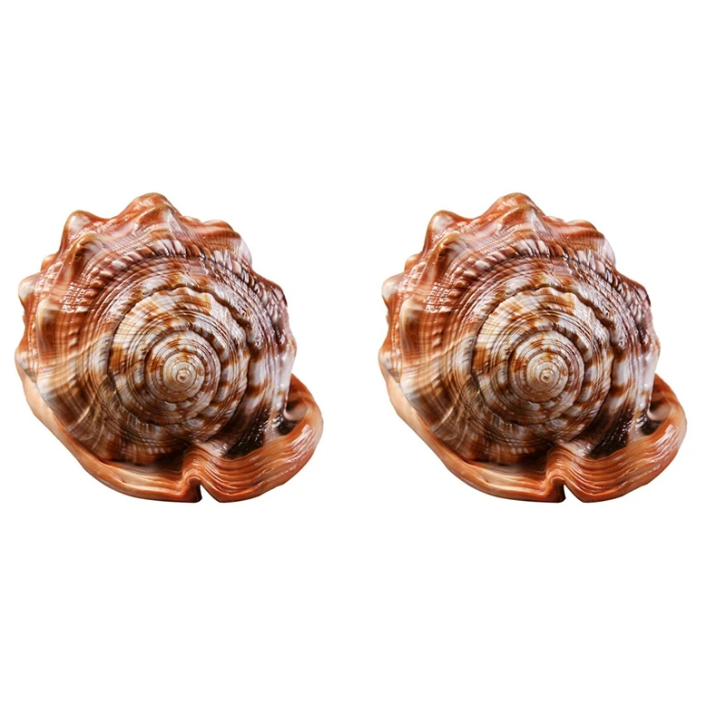 

AFBC Natural Bull's Mouth Helmet Conch Shell Coral Sea Snail Fish Tank Adorn Ornament 2Pcs