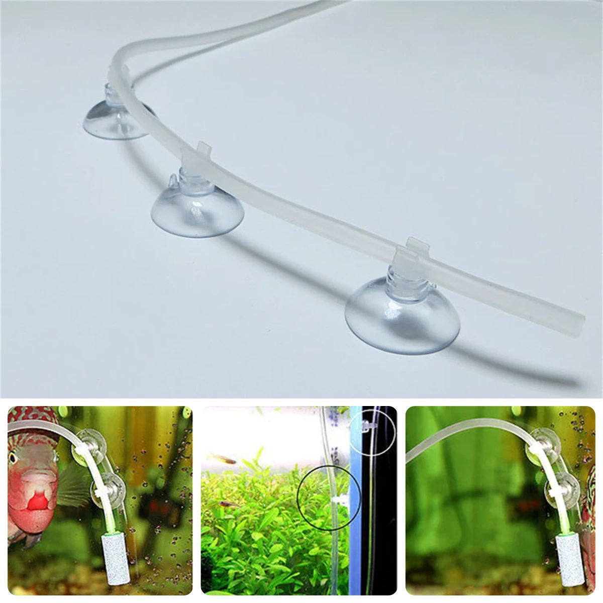 Rubber Suction Cups Fish Tank Pump Oxygen Tube Sucker Fixing Clips Aquarium Heater Diving Lamp Air Line Pipe Wire Holders 20Pcs aquarium suction cup aquarium clip holders aquarium hose holder rubber suction cup holders aquarium clip holder