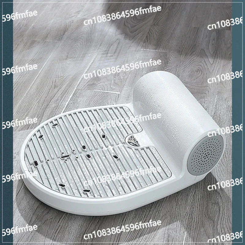 

Household Bathroom Dryer Electric Hair Dryer Negative Ion Body Dryer 220v