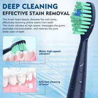 Sejoy Whitening Sonic Toothbrush 8 Brush Heads 5 Modes Smart Timer Rechargeable Electric Toothbrush Personal Care Appliances 2