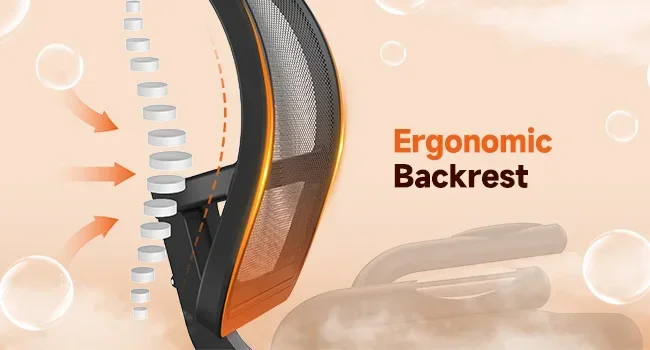 recumbent bike for adults