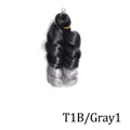 T1B Gray1