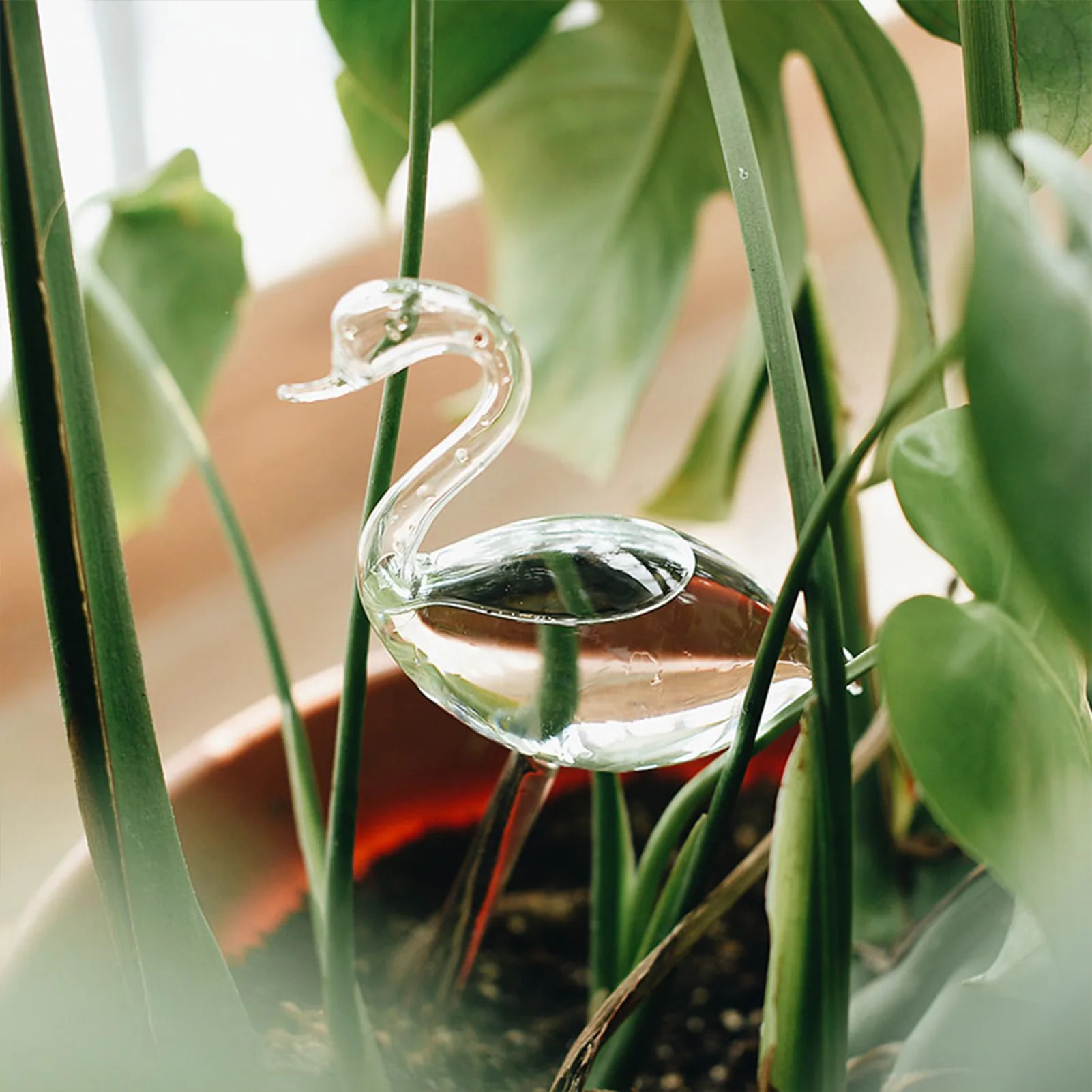 Elegant Swan Watering Device Transparent Indoor Plants Self Watering Device for Small Apartments and Offices