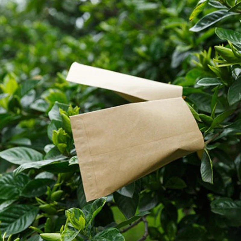 Kraft Paper Seed Soaking and Storage Bags - 100 Pack