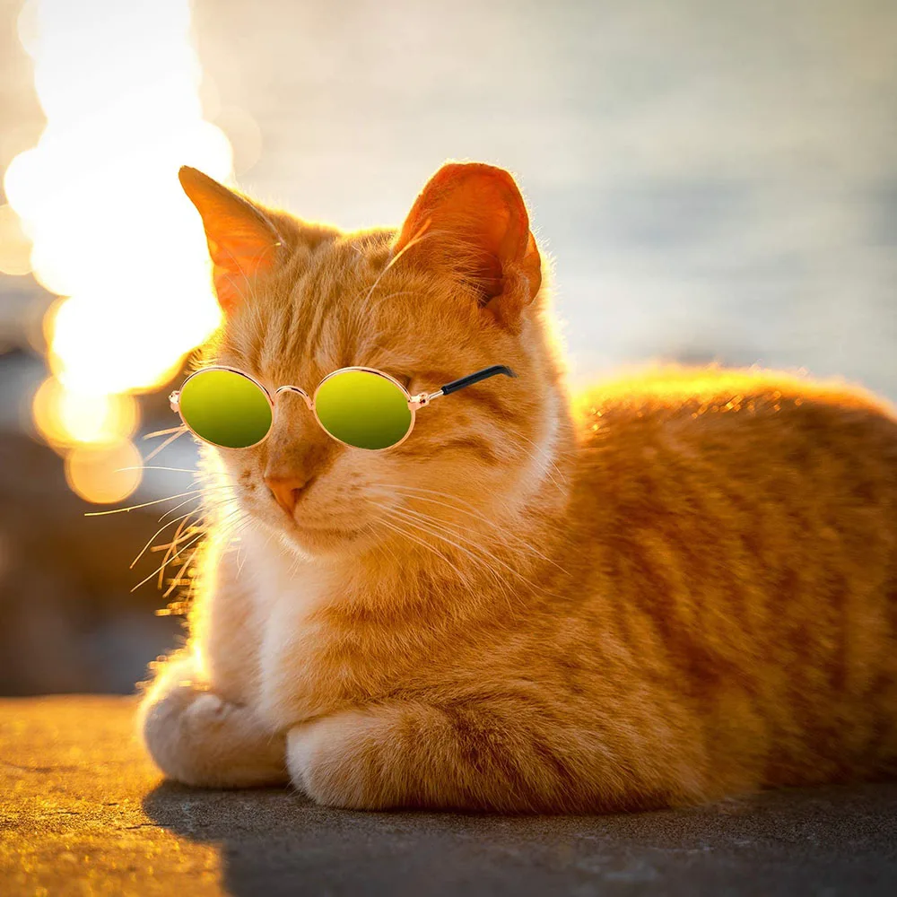 Title 13, Cat Dog Sunglasses Funny Pet Glasses Round Meta...