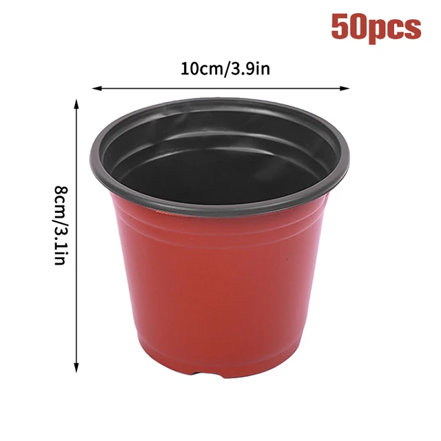 10cm 50pcs