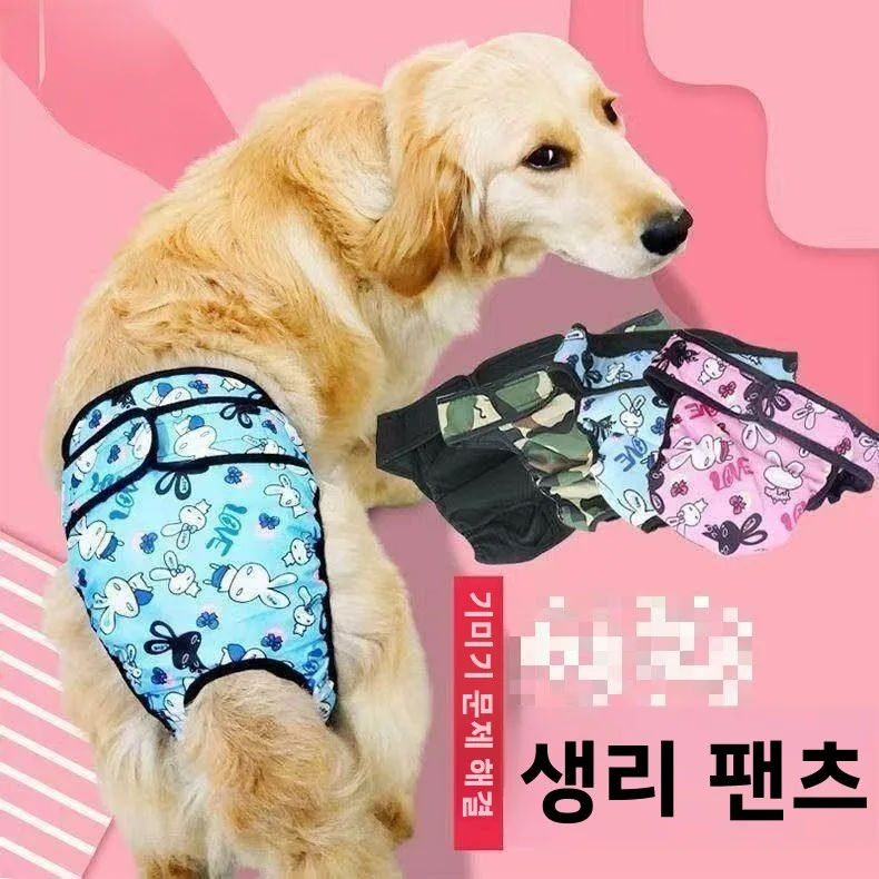 래브라도 여성용 생리팬티 대형견 안전 위생 팬츠 성희롱 방지 속옷 애완용품 애완동물 의류 액세서리