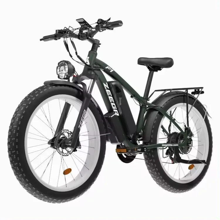 Vendita Calda Di Fabbrica Bici 36 V48V Ebike Bici Elettrica Bicicletta Ciclo 26*4.0 Grasso Pneumatico Bici Elettrica Muslimah