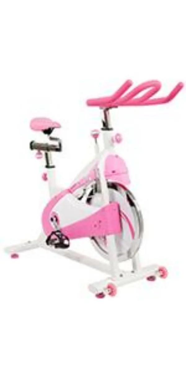 P8150 Spin Bike