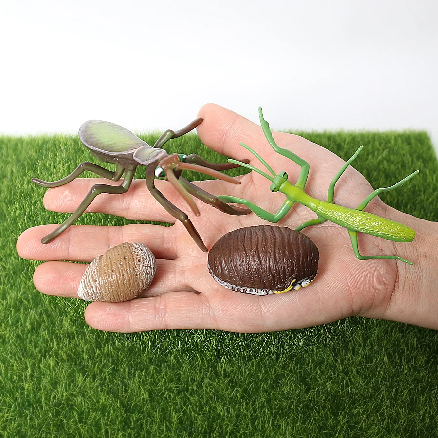 Animal Life Cycle Figurines Set - Realistic Spider, Scorpion, Frog Toys For Montessori Learning, Science Projects, Cake Toppers, Kids Educational Play