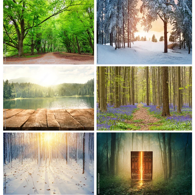 

SHUOZHIKE Natural Scenery Photography Background Forest Landscape Travel Photo Backdrops Studio Props 22331 SELI-04