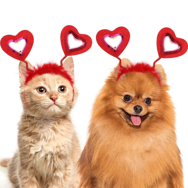Pet Christmas Headwear
