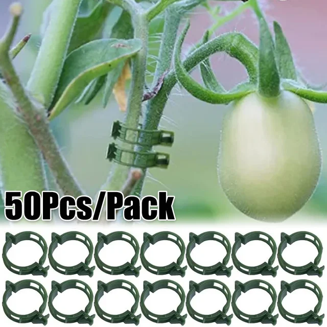 50/10 Százalékos Műanyag Növényi Klipek Szőlőhely -Klipes Csat Kampók Összekapcsolják Az Újrahasznosítható Tartó Kertészeti Készleteket A Zöldség Gyümölcsökhöz
