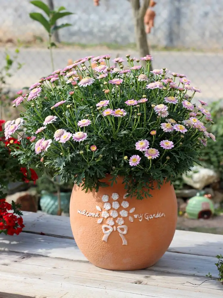 

Creative Retro Embossed Pottery Clay Ceramic Balcony Breathable Succulent Plant Large Simplicity Flower Green Plant