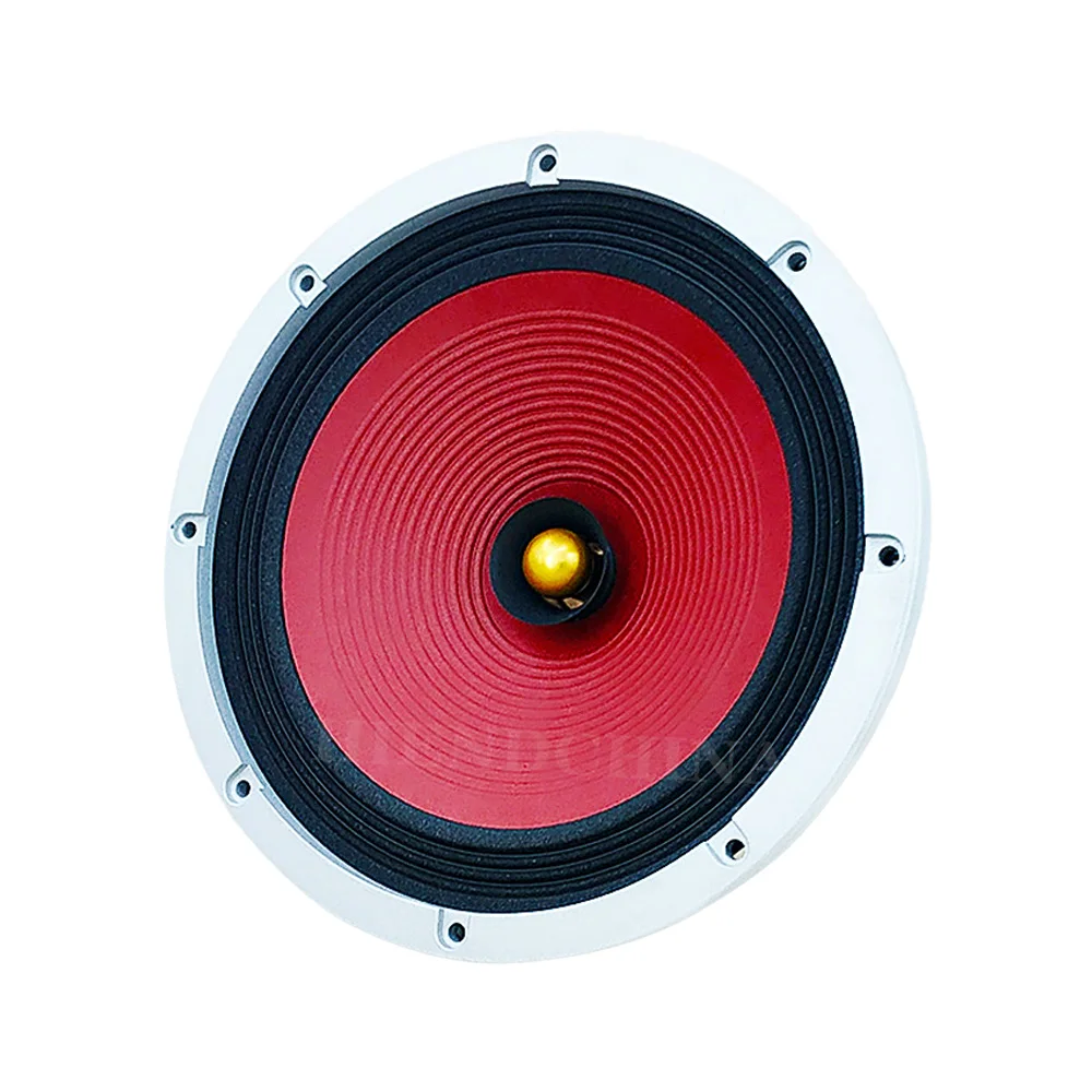 Hf270 Hifi Speakers 10 Inch Full Range Speaker Hifi Loudspeaker Hifi Full Frequency High