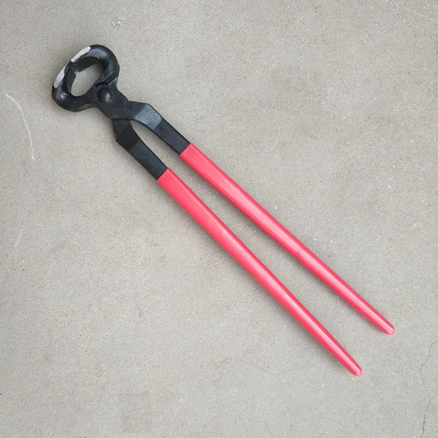 Farriers Rasp, Horse Shoeing Tools