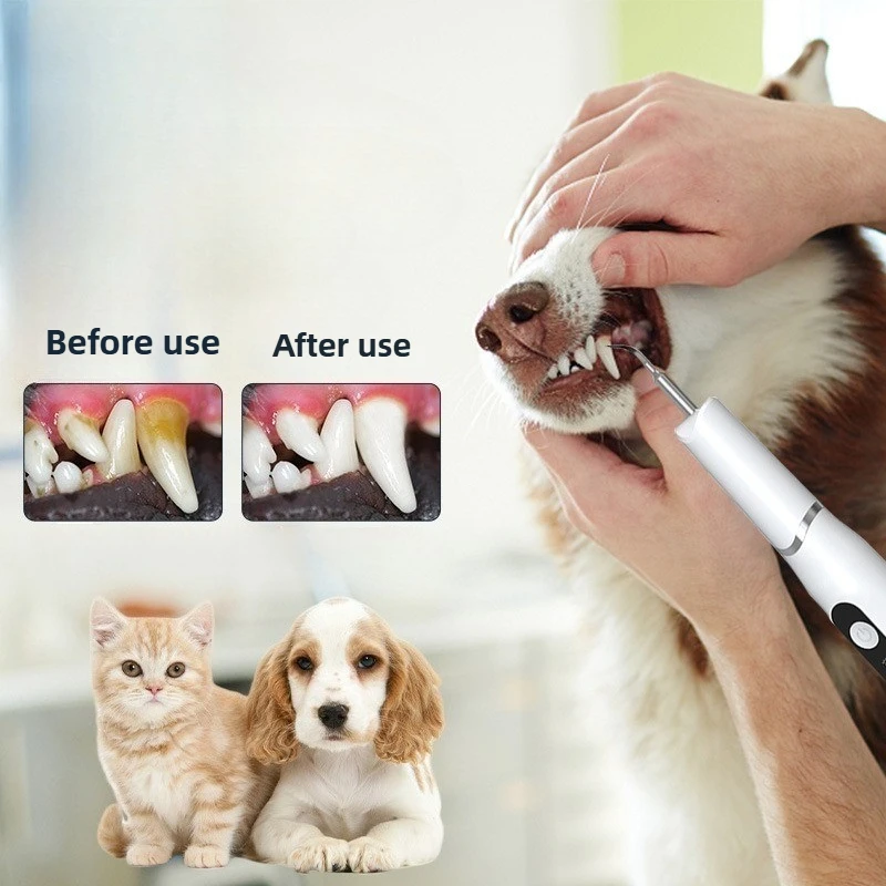 S8e8bbeccd81849da81716ebbb8960c15E.jpg S8e8bbeccd81849da81716ebbb8960c15E.jpg