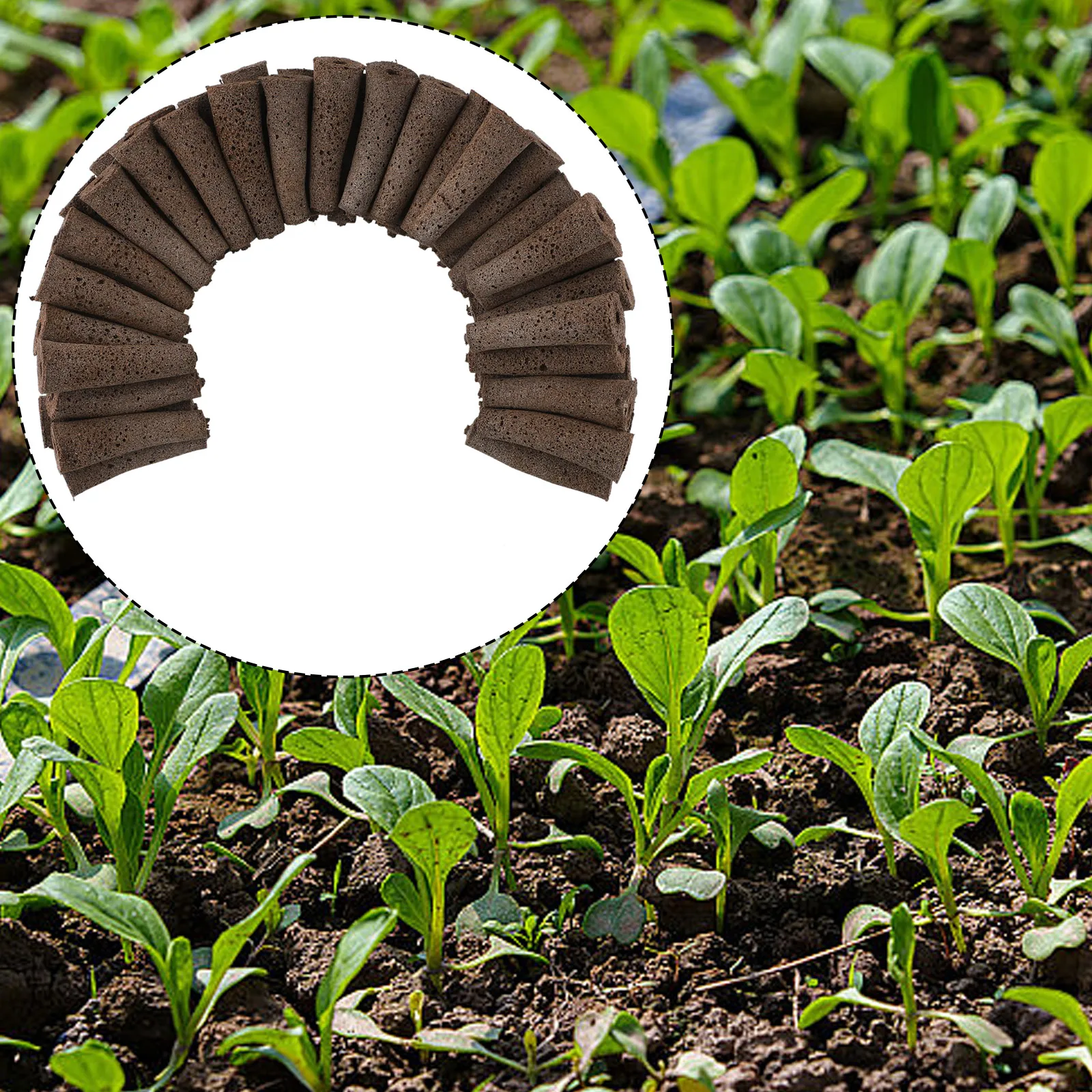 Grow Sponge Starter Pods Root Growth Sponge Plugs Sphagnum Peat For Hydroponic System Garden Tools 50PCS