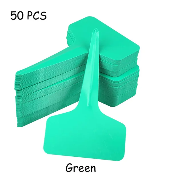 50pcs Green