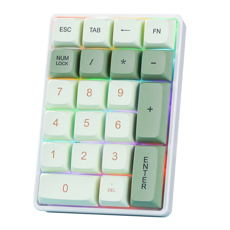 FREEWOLF K21 무선 기계식 숫자 키패드 21키 트리플 모드 블루투스 2.4G USB-C 핫스왑 RGB 숫자 패드 (회계용)