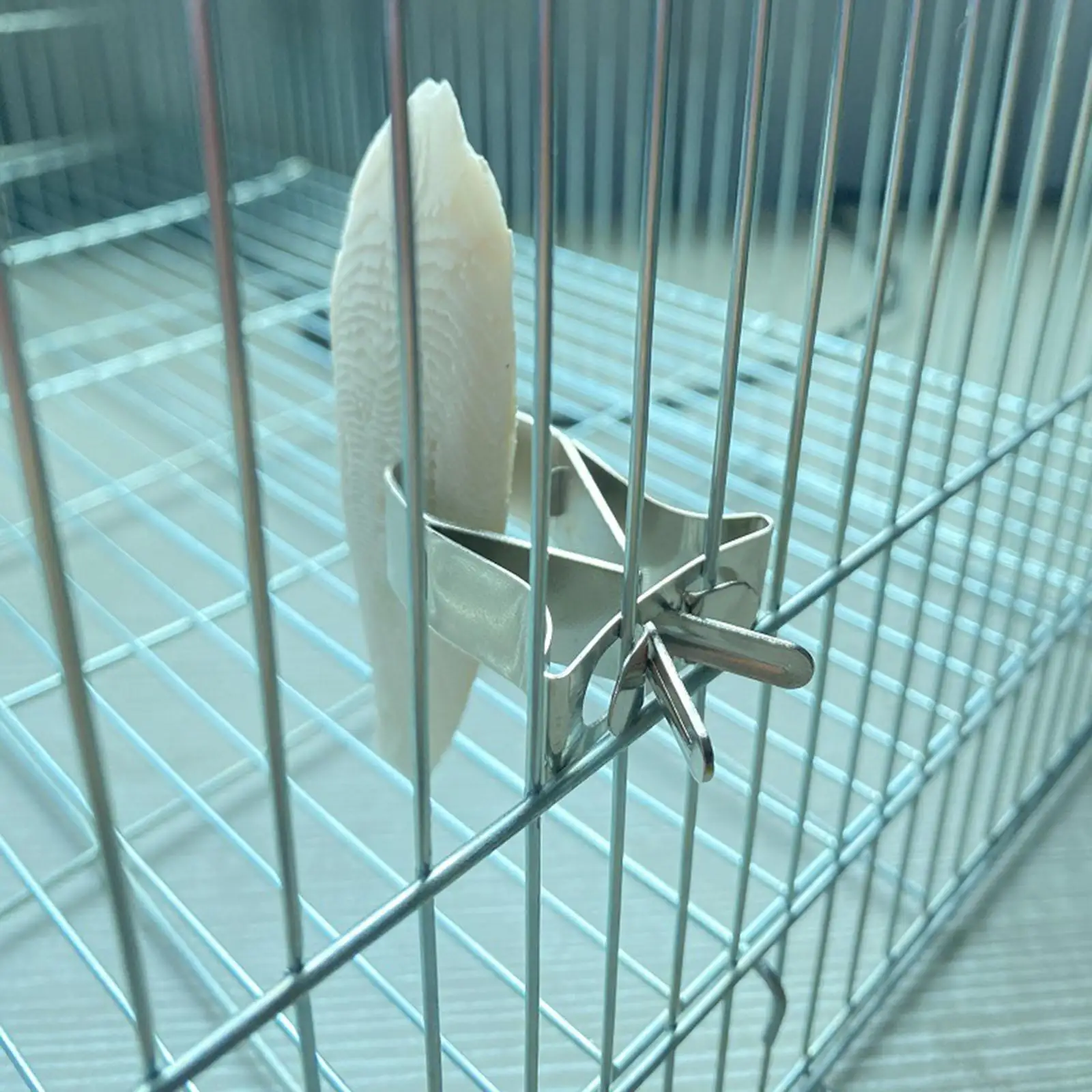 Bird Cage Fruit Vegetable Clip Feeder Device Food Holder Stainless