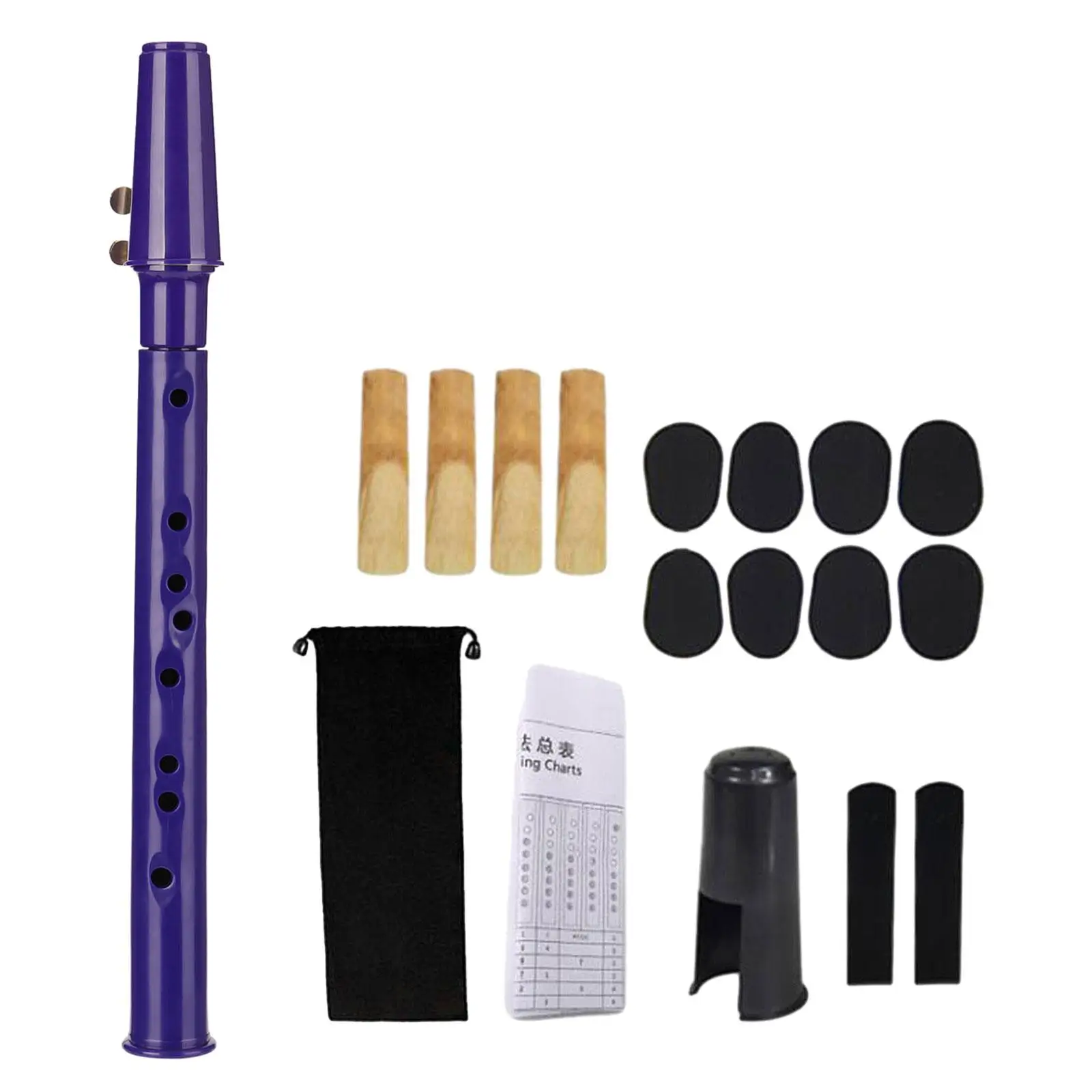 Pocket Saxophone with Mouthpiece Reeds, Carrying Bag Great Sound Mini Sax