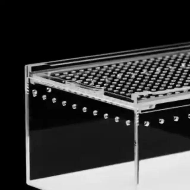 Reptile Feeding Box Animal Habitat Cage Transparent Reptile Terrarium Enclosure Cage for Chameleons Hermit Crabs Container 5