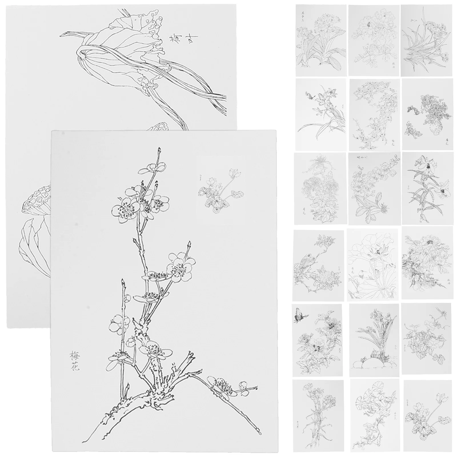 20 pezzi di carta da disegno per acquerello per schizzi trasparenti Carte da colorare Forniture Set di carta per schizzi Forniture artistiche Acquerello - immagine 4